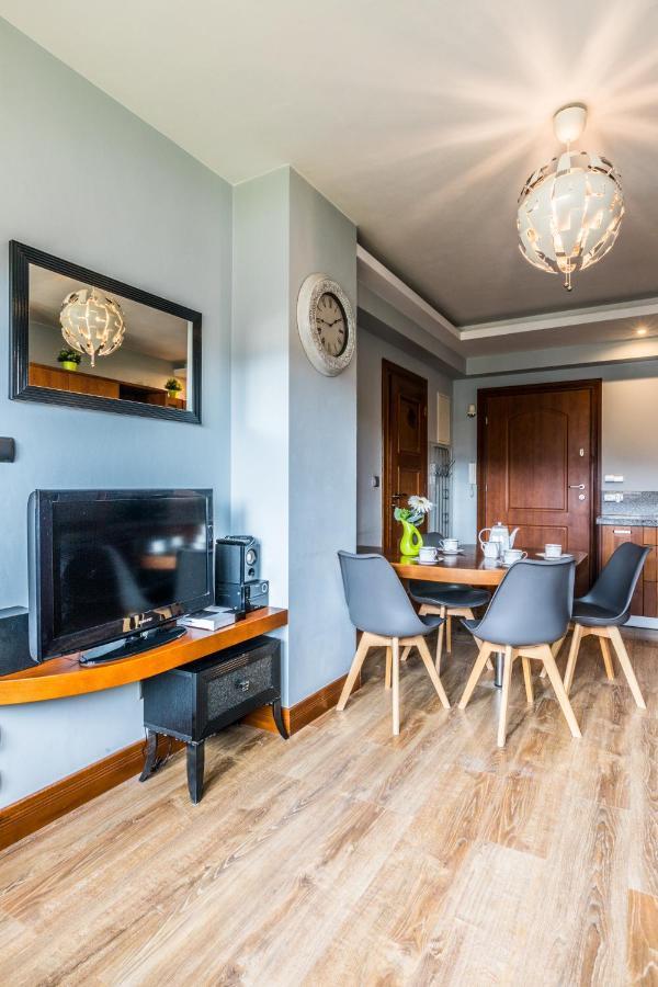 Apartament Srebrzysty Tatary ザコパネ エクステリア 写真