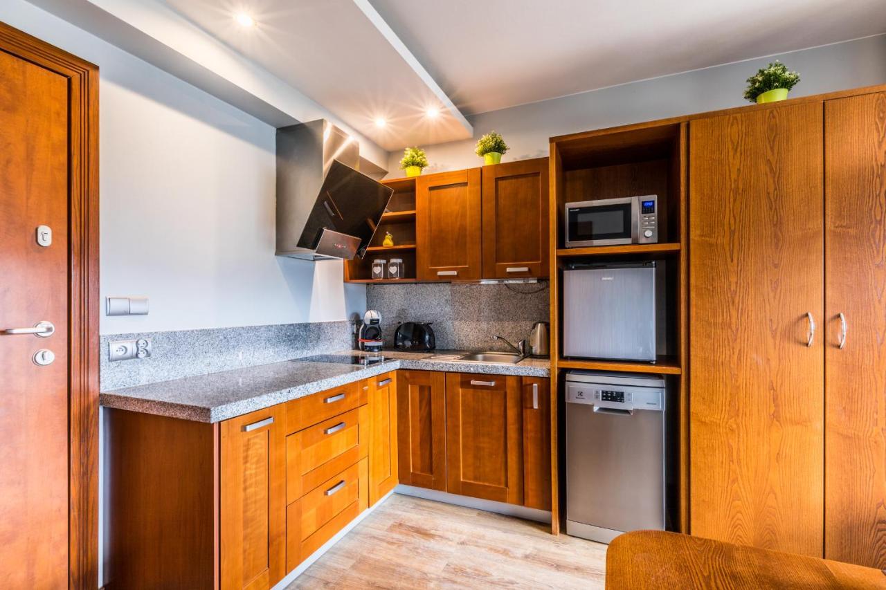 Apartament Srebrzysty Tatary ザコパネ エクステリア 写真