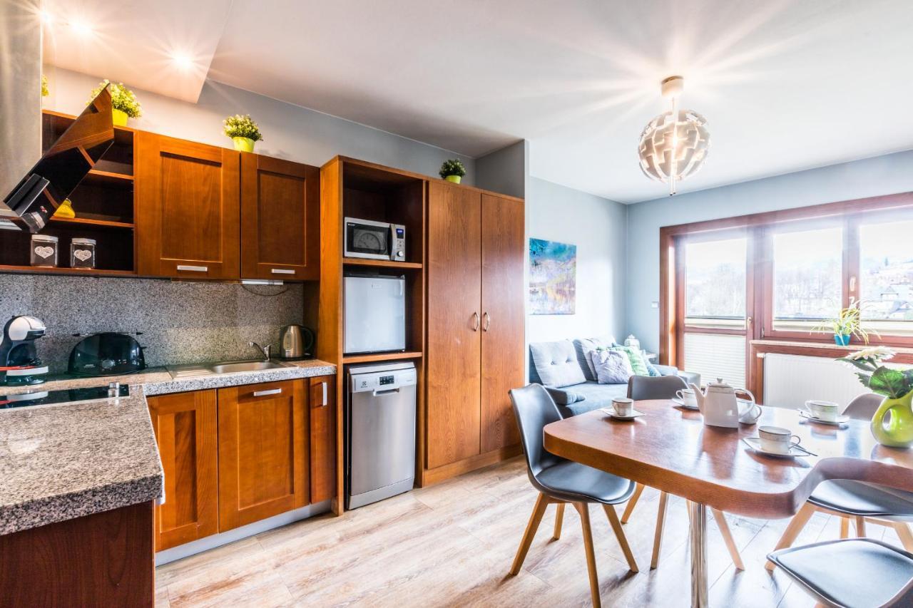 Apartament Srebrzysty Tatary ザコパネ エクステリア 写真