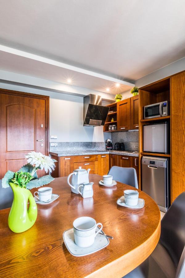Apartament Srebrzysty Tatary ザコパネ エクステリア 写真