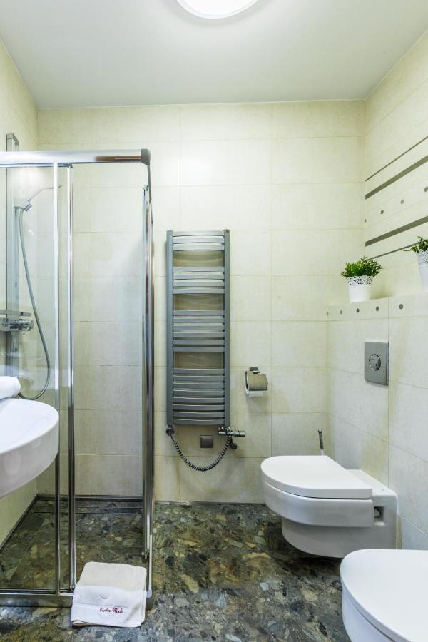 Apartament Srebrzysty Tatary ザコパネ エクステリア 写真